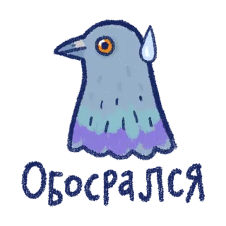 😭 8a85d031 鸽子, 鸟, 汗滴, 焦虑, 紧张 telegram sticker
