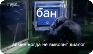 Приколдэсные видосики :: @fStikBot telegram stickers