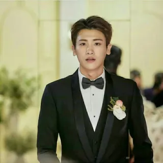 🤵 05ca3c8f pria, tuksedo, pakaian formal, potret, pernikahan, pengantin pria telegram sticker