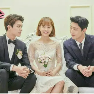 👰 157cfe8e telegram sticker