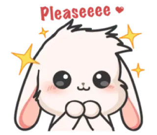 🙏 72a2c605 Pleasseee 可爱, 兔子, 恳求, 乞求, 卡哇伊, 动物 telegram sticker