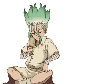 😌 1c2fd60c Senku Ishigami Dr. Stone E=MC² Anime, Dr. Stone, Senku Ishigami, Scienziato whatsapp sticker