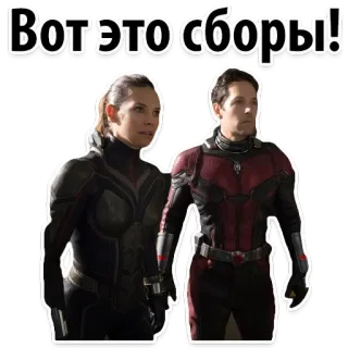 ✨ 0ee1ae1a Ant-Man Вот это сборы! Человек-муравей, Marvel, супергерой, Оса, коллекция, фильм whatsapp sticker