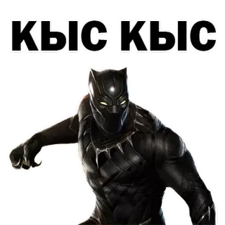 ✨ e63ef77f Black Panther КЫС|КЫС супергерой, Marvel, Черная Пантера, кот, животное whatsapp sticker