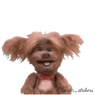 🐶 783a72a5 @Mycutie หมา, หุ่น, น่ารัก, สัตว์เลี้ยง, สัตว์ telegram sticker