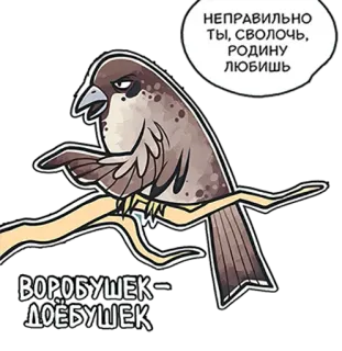 🤨 b7408fc5 НЕПРАВИЛЬНО
ТЫ, СВОЛОЧЬ,
РОДИНУ
ЛЮБИШЬ

ВОРОБУШЕК-
ДОЁБУШЕК 鸟, 麻雀, 俄语, 侮辱, 冒犯, 脏话 whatsapp sticker