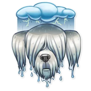 🌧 55a8e6a1 犬, 雨, 天気, 嵐, 雲, 雨降り, 濡れた, 水滴 whatsapp sticker