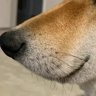 @sad_alone_boy telegram stickers