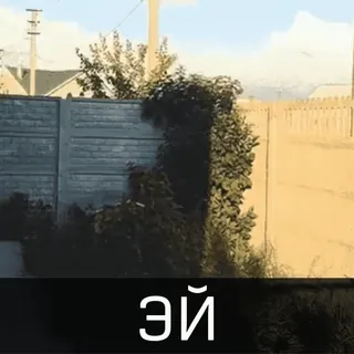 Собака улыбака telegram stickers