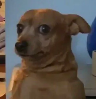 i follow you whatsapp stickers