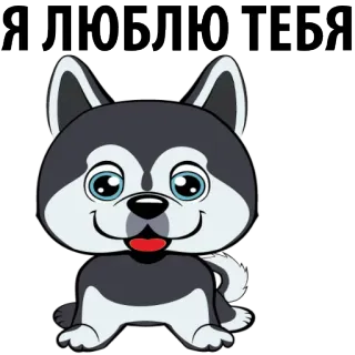 😍 75a7343c Я ЛЮБЛЮ ТЕБЯ dog, husky, love, I love you, animal, cartoon telegram sticker