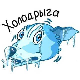 🥶 ed4a1a53 Холодрыга chien, glace, froid, hiver, animal, pleurer, gelé whatsapp sticker