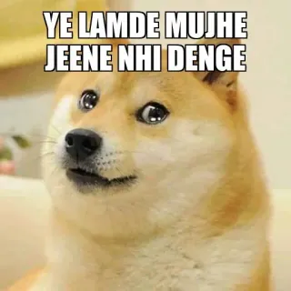 🥺 1748041f YE LAMDE MUJHE JEENE NHI DENGE doge, ミーム, ヒンディー語, 犬, 面白い telegram sticker