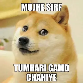 🥺 4779a3f0 MUJHE SIRF
TUMHARI GAMD CHAHIYE doge, ミーム, 不快, インド, ヒンディー語 telegram sticker