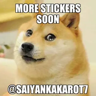 🥺 56776389 MORE STICKERS SOON
@SAIYANKAKAROT7 ミーム, ドージ, ネットミーム, 犬, ステッカー telegram sticker