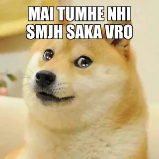🥺 a256488c MAI TUMHE NHI SMJH SAKA VRO ドージ, 犬, ミーム, ヒンディー語, ネットミーム, 面白い telegram sticker