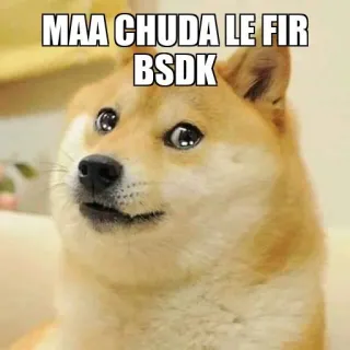 🥺 aed21694 MAA CHUDA LE FIR
BSDK doge, ミーム, 不快, ヒンディー語, 犬, 動物 telegram sticker