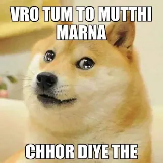 🥺 af9234d6 VRO TUM TO MUTTHI MARNA CHHOR DIYE THE doge, ミーム, テキスト, ネットミーム, 犬, 動物 telegram sticker