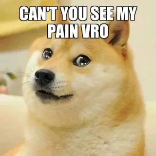 🥺 fbef05dd CAN'T YOU SEE MY PAIN VRO doge, ミーム, 犬, 痛み, 悲しい, ユーモア telegram sticker