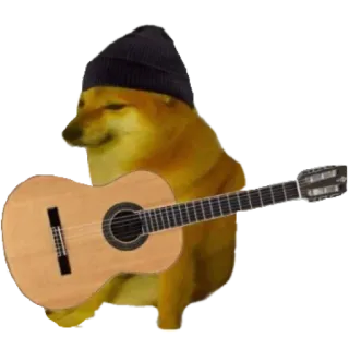 📿 1e66eed1 chó, guitar, Cheems, meme, âm nhạc, thú cưng, động vật whatsapp sticker