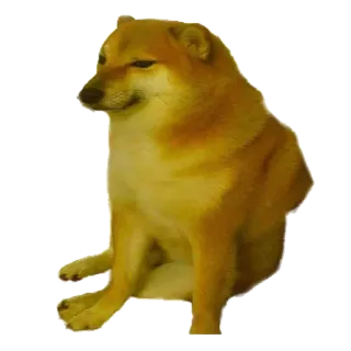 doge... telegram stickers