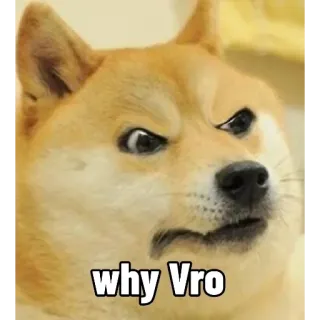 😤 0c64b8a8 why Vro доге, мем, собака, смешно, в замешательстве, vro telegram sticker