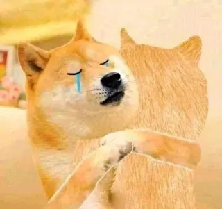 😭 17101322 Doge doge, мем, объятие, эмоциональный, плач, грустный telegram sticker