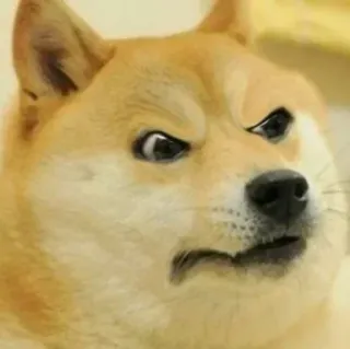 🚩 2511e0bb Doge доге, мем, собака, смешной, интернет мем telegram sticker