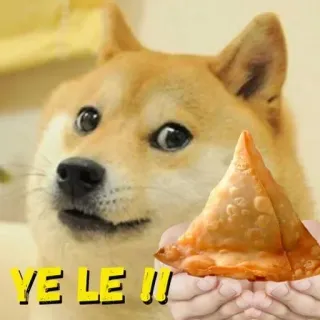 🤲 2ad5d4f9 YE LE !! doge, собака, мем, еда, самоса, закуска telegram sticker