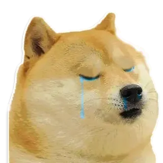 😭 411866cc Doge doge, грустный, плачет, мем, собака, интернет-мем telegram sticker