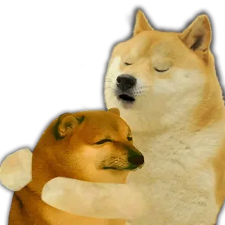 🫂 4cd268b9 Doge doge, собака, мем, объятия, дружба, милый telegram sticker