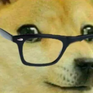 🏵 7b64458b Doge doge, мем, собака, очки, интернет культура telegram sticker
