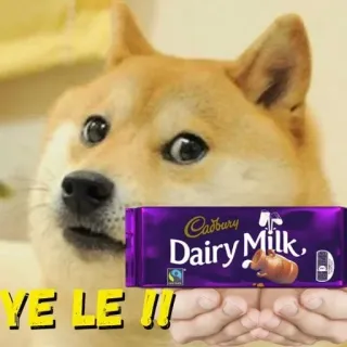 🍫 91eb6b82 Doge YE LE !!! доге, мем, шоколад, Cadbury, молочный шоколад telegram sticker