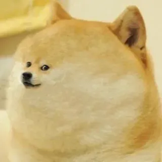 🐭 981ae878 Doge doge, мем, собака, сиба ину, смешной telegram sticker