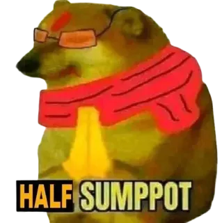 🤣 bd211471 HALF SUMPPOT доге, собака, мем, интернет-мем, смешно, sumppot telegram sticker