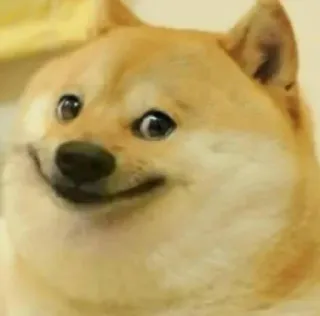 😁 c61e7e60 Doge собака, мем, доге, животное, питомец, интернет telegram sticker