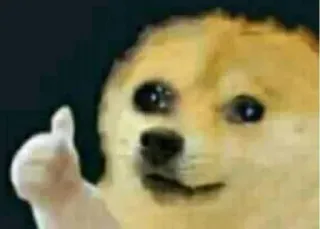 💔 dc75b114 Doge Doge, собака, мем, большой палец вверх, одобрение, милый telegram sticker