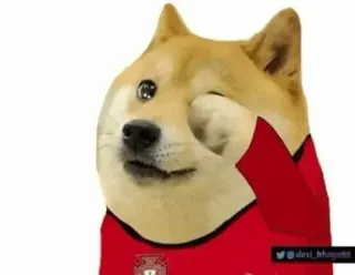 😢 fad64b2d desi_bhayo88 собака, доге, мем, животное, милый, сиба ину, интернет мем, смешной telegram sticker