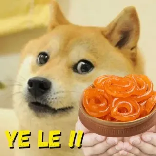 🍩 fecaba47 Doge YE LE !! Doge, Джалеби, Собака, Мем, Еда, Сладкое, Индийская сладость telegram sticker