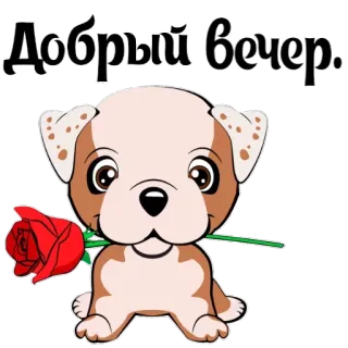 Puppy 🐶 (@stickerssave) telegram stickers