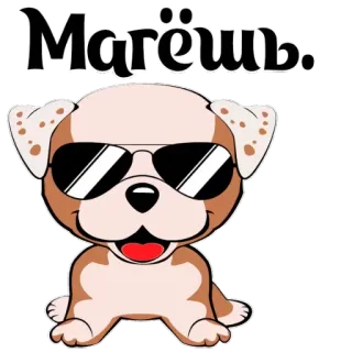 👌 153dc8f3 Магёщь dog, cartoon, sunglasses whatsapp sticker