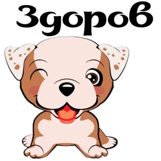 🗣 43483113 Здоров dog, cartoon, pet, animal, greeting whatsapp sticker