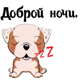 🌀 fd090274 Доброй ночи. good night, sleepy, dog, cute, animal whatsapp sticker