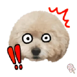 🐶 30af799f 狗, 震惊, 感叹号, 可爱, 动物 telegram sticker