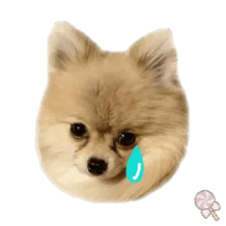 🐶 4d5ddd94 狗, 可爱, 悲伤, 眼泪, 小狗 telegram sticker