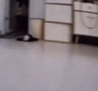 😐 42e8eef9 telegram sticker