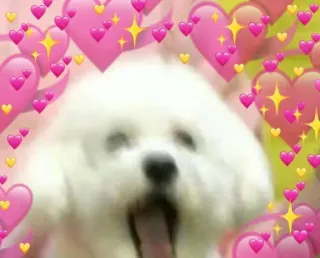 💚 d401d06e cão, corações, amor, fofo, brilhos, cachorro whatsapp sticker