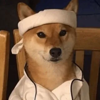 🐕 4486601a dog, shiba inu, chef, costume, funny, meme, cute telegram sticker