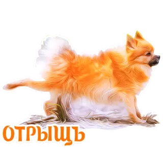 😡 1f4affdc отрыщь cane, animale, arancione, cartone animato telegram sticker