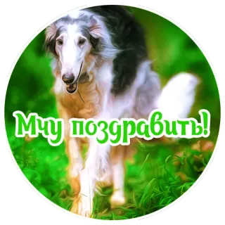 🎊 62378ecd Мчу поздравить! cane, borzoi, saluto, animale, animale domestico, celebrazione telegram sticker